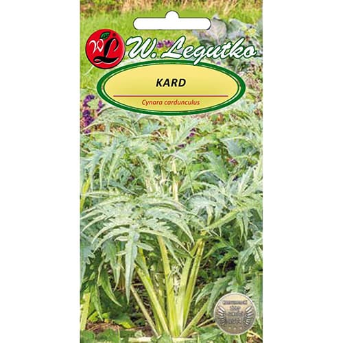 Kard Bianco avorio interface.image 1 interface.art 96809