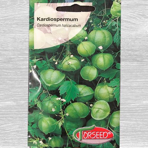 Kardiospermum zielone interface.image 1 interface.art 77536