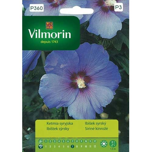 Ketmia syryjska niebieska (Hibiskus) Vilmorin interface.image 1 interface.art 86640