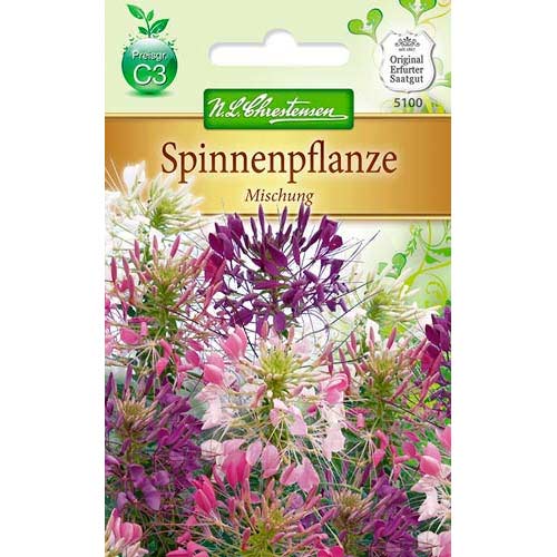 Kleome, mix kolorow interface.image 1 interface.art 78902