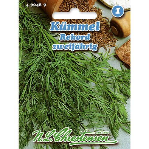 Kminek Rekord interface.art zdjęcie 1 Kminek Rekord interface.image 1 interface.art 86008