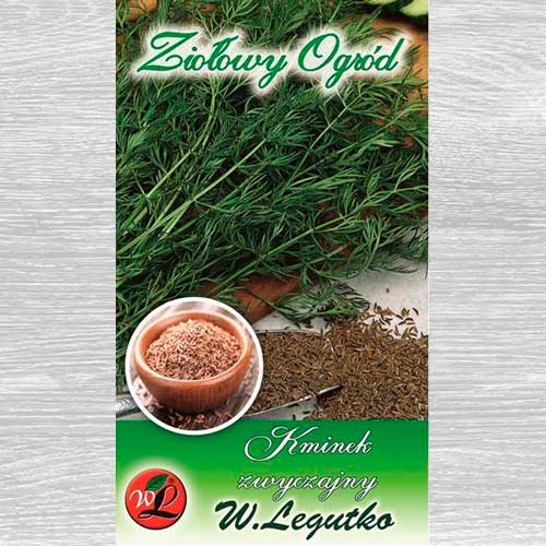 Kminek zwyczajny Rekord interface.image 1 interface.art 69673