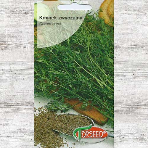 Kminek zwyczajny interface.image 1 interface.art 87011