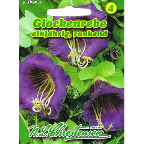 Kobea pnaca interface.image 1 interface.art 78982