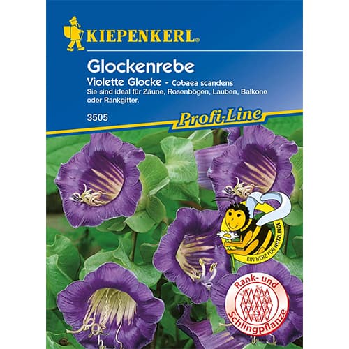 Kobea pnaca Violette Glocke interface.image 1 interface.art 86266