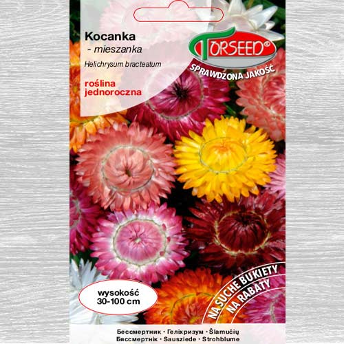 Kocanka ogrodowa interface.image 1 interface.art 77541