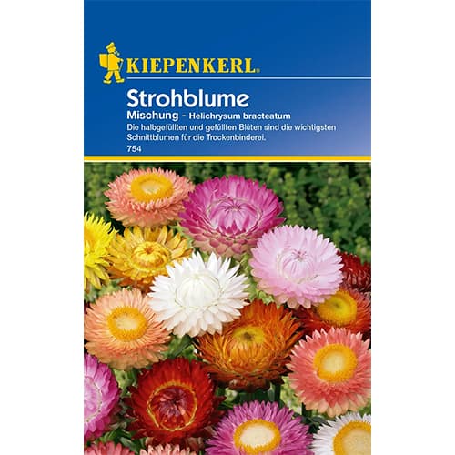 Kocanka ogrodowa, mix kolorow interface.image 1 interface.art 77408