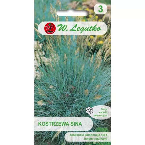 Kostrzewa sina interface.image 1 interface.art 78568