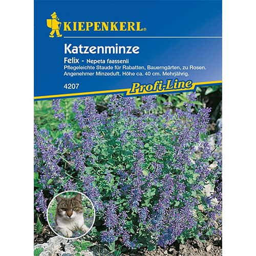 Kocimietka Felix interface.image 1 interface.art 96548