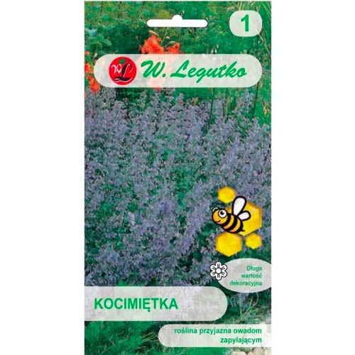 Kocimietka niebiesko-fioletowa interface.image 1 interface.art 96716