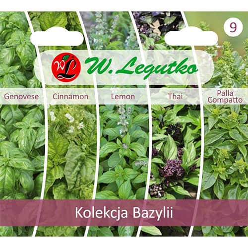 Kolekcja Bazylii, 5 odmian interface.image 1 interface.art 96837