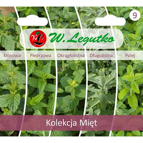 Kolekcja Mięt, 5 odmian interface.image 1 interface.art 96840