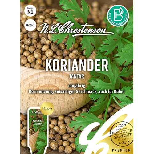 Kolendra Jantar interface.image 1 interface.art 87843