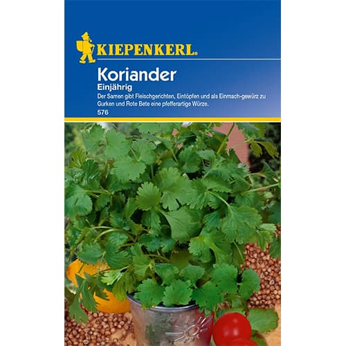 Kolendra jednoroczna interface.image 1 interface.art 77463