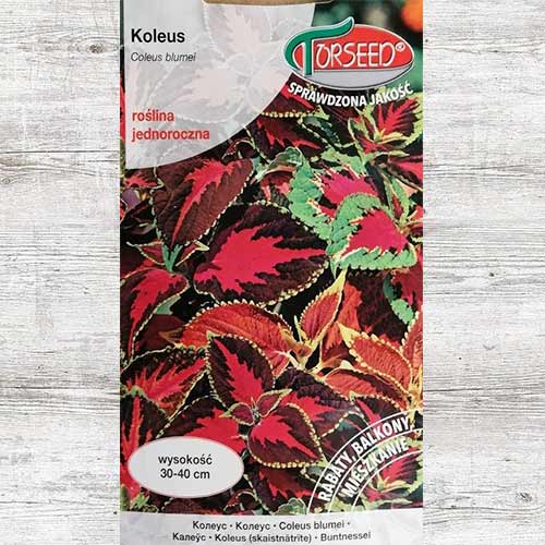 Koleus, mieszanka interface.art zdjęcie 1 Koleus, mieszanka interface.image 1 interface.art 87043