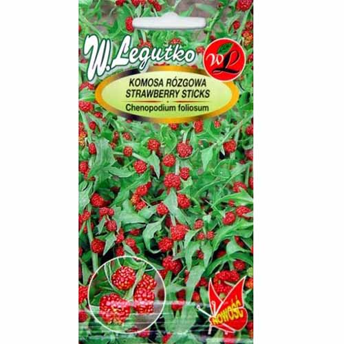 Komosa rózgowa Legutko interface.image 1 interface.art 96717