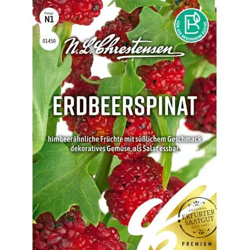 Szpinak truskawkowy interface.art zdjęcie 1 Szpinak truskawkowy interface.image 1 interface.art 96472