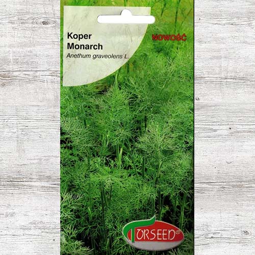 Koper Monarch, nasiona interface.image 1 interface.art 86937