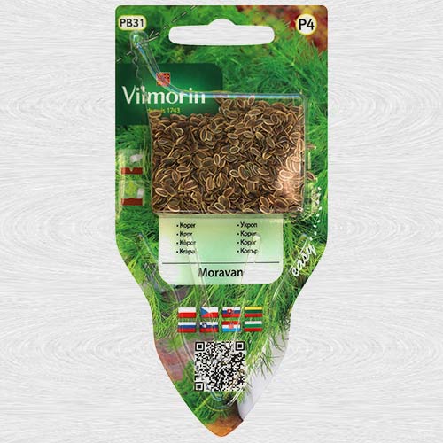 Koper Moravan interface.image 1 interface.art 69730