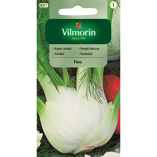 Koper włoski (Fenkuł) Fino Vilmorin interface.art zdjęcie 1 Koper włoski (Fenkuł) Fino Vilmorin interface.image 1 interface.art 77721