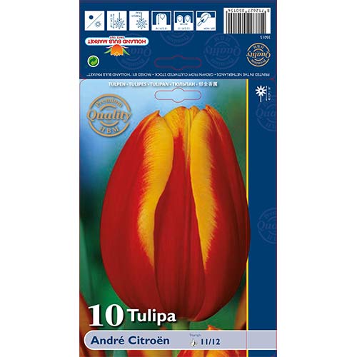 Tulipan Andre Citroen interface.image 1 interface.art 67898