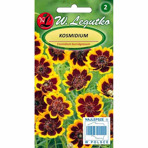 Kosmidium żółto-brązowe Legutko interface.art zdjęcie 1 Kosmidium żółto-brązowe Legutko interface.image 1 interface.art 96718