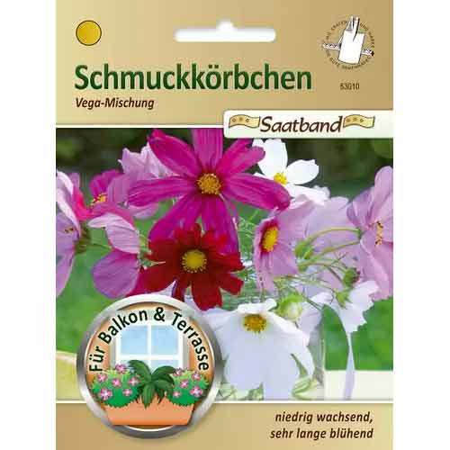 Kosmos nasion na tasmie Vega, mix kolorow interface.image 1 interface.art 50027