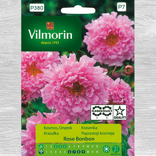 Kosmos podwójnie pierzasty (Onętek), mieszanka interface.image 1 interface.art 77679