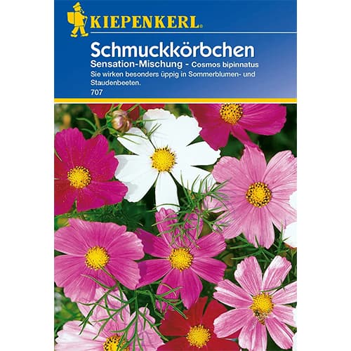 Kosmos Sensation, mix kolorow interface.image 1 interface.art 77400