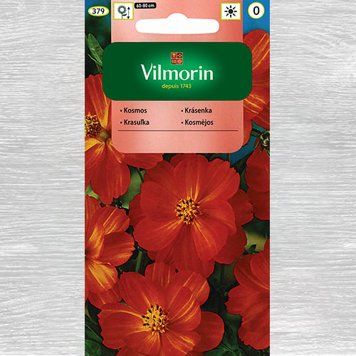 Kosmos siarkowy (Onętek) Diablo interface.image 1 interface.art 77680