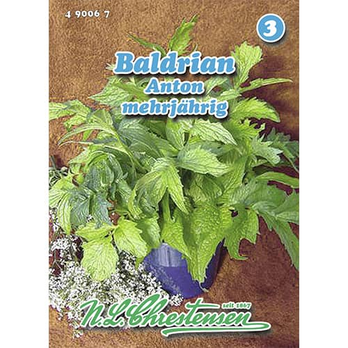 Salata roszponka warzywna Anton interface.image 1 interface.art 96463