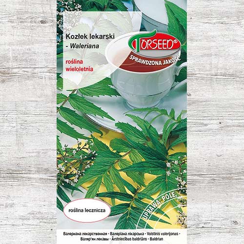 Kozłek lekarski, nasiona interface.image 1 interface.art 87015