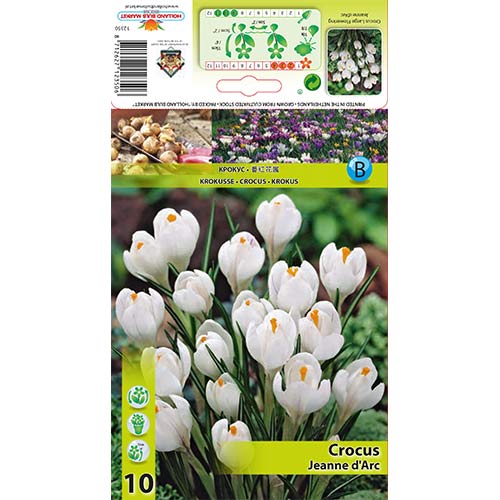 Krokus Jeanne d'Arc interface.image 1 interface.art 67332