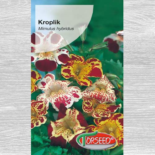 Kroplik tygrysi interface.art zdjęcie 1 Kroplik tygrysi interface.image 1 interface.art 77544