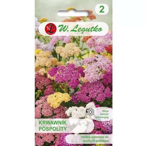 Krwawnik pospolity, mix interface.image 1 interface.art 50106