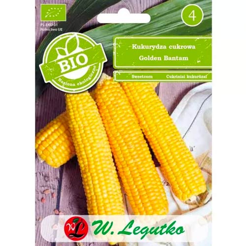 Kukurydza Golden Bantam interface.image 1 interface.art 50131