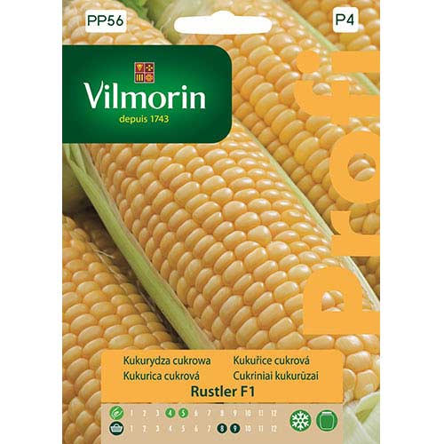 Kukurydza cukrowa Rustler F1 Vilmorin interface.image 1 interface.art 77722