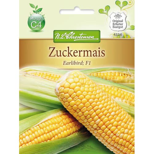 Kukurydza Earlibird F1 interface.image 1 interface.art 78814