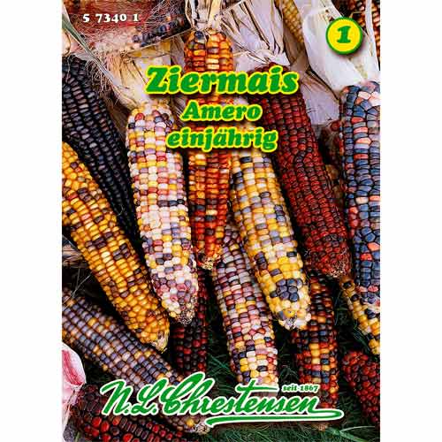 Kukurydza ozdobna Amero, mix kolorow interface.image 1 interface.art 96457