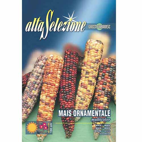 Kukurydza ozdobna, mieszanka kolorów Morami interface.image 1 interface.art 96367