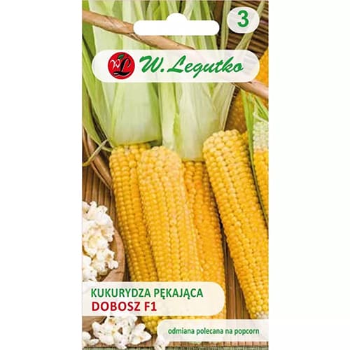 Kukurydza popcornowa Dobosz F1 interface.image 1 interface.art 78481