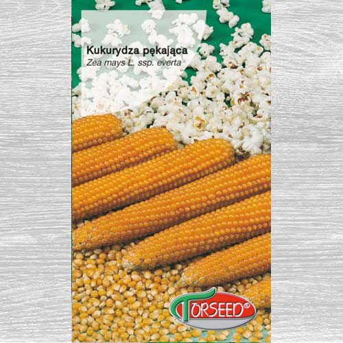Kukurydza pękająca Płomyk interface.image 1 interface.art 77623