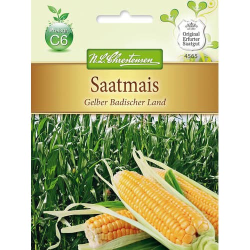 Kukurydza Gelber Badischer Land interface.image 1 interface.art 78883