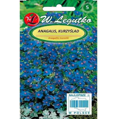 Kurzyślad (Anagalis) niebieski interface.image 1 interface.art 96764