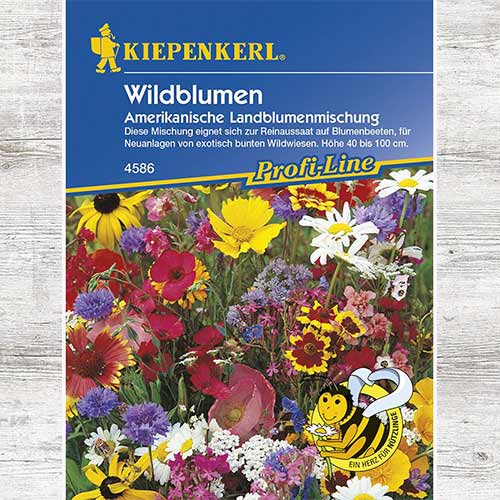 Kwiaty dzikie American Country, mieszanka interface.image 1 interface.art 86242