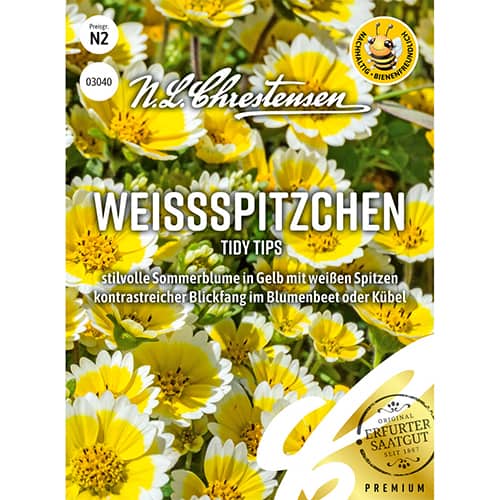 Laja Tidy Tips interface.image 1 interface.art 86219