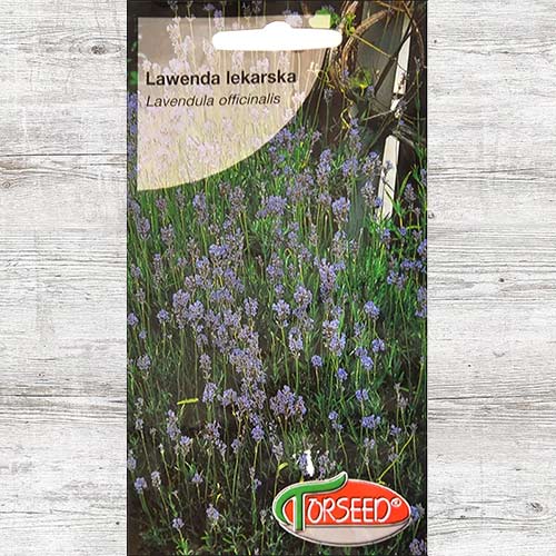 Lawenda lekarska, nasiona interface.image 1 interface.art 87016