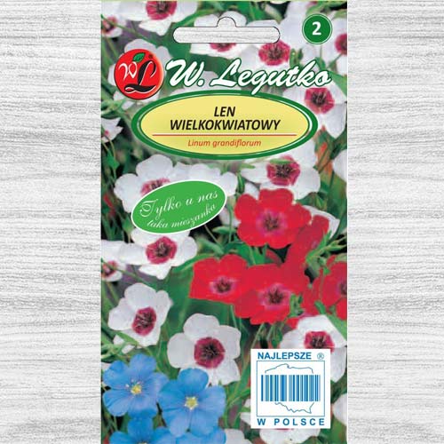 Len wielkokwiatowy, mieszanka Legutko interface.image 1 interface.art 78570