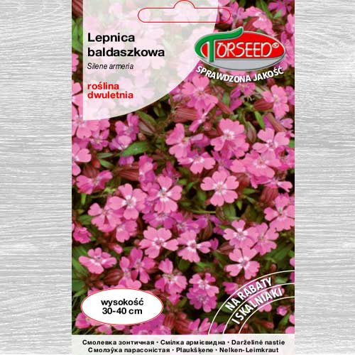 Lepnica baldaszkowa interface.image 1 interface.art 77546