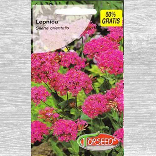 Lepnica interface.image 1 interface.art 77545